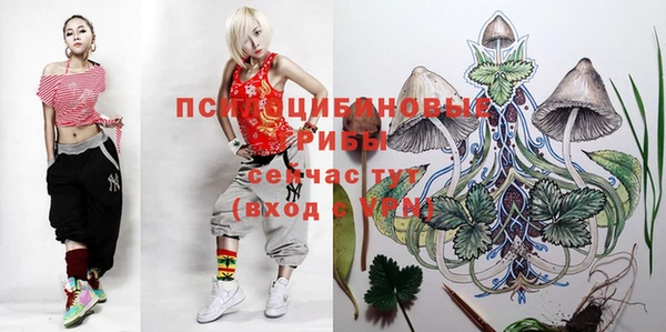 mdma Богданович