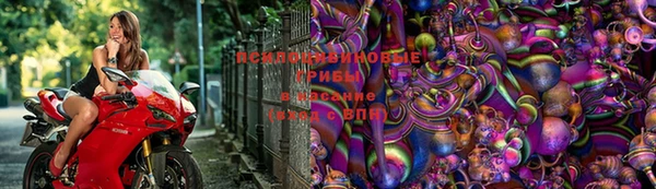 альфа пвп Богородицк