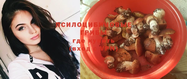 молекула духа Богородск