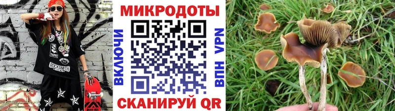 Псилоцибиновые грибы прущие грибы  Волгореченск 