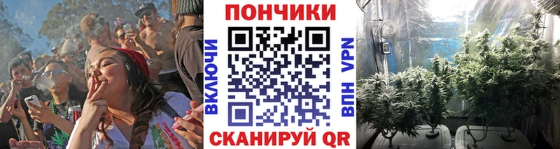 Шишки марихуана план  darknet клад  Волгореченск 